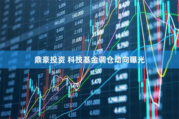 鼎豪投资 科技基金调仓动向曝光