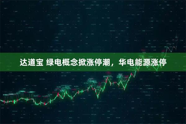 达道宝 绿电概念掀涨停潮，华电能源涨停