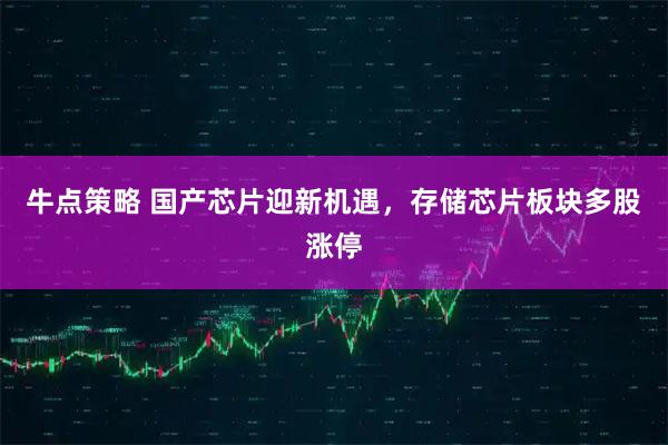 牛点策略 国产芯片迎新机遇，存储芯片板块多股涨停